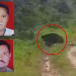 Chandrapur News – जंगलात गेलेल्या बाप-लेकावर अस्वलाचा हल्ला, वडिलांची प्रकृती चिंताजनक