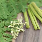 दररोज 10 ते 12 शेवग्याची पाने खाण्याचे आश्चर्यकारक फायदे, वाचा