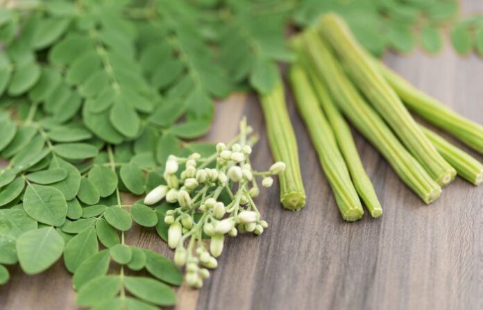 Moringa (2)