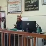 Nanded News – तेरे जैसा यार कहां… तहसीलदाराच्या खुर्चीवर बसून म्हटलं गाण, विभागीय आयुक्तांनी केली कडक कारवाई