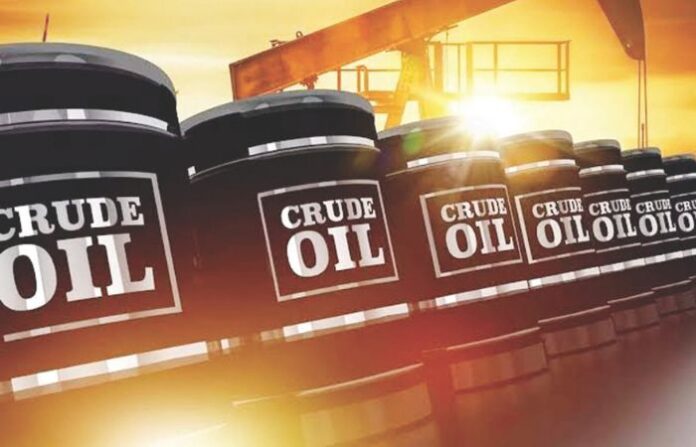 Oil