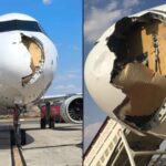 Video – 20 हजार फुटांवर विमानाला पक्षाची धडक; पायलट केबिनला भगदाड पडलं, प्रवाशांमध्ये घबराट