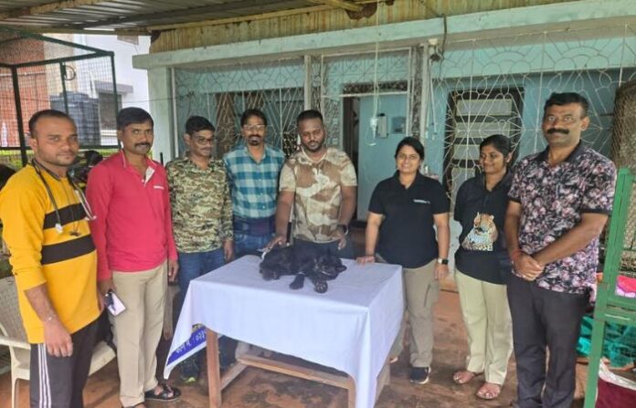 Ratnagiri News (7)