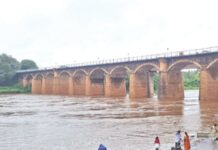chandoli-koyna-heavy-rain-krishna-river-rises-to-25-feet-flood-alert-in-sangli-and-warna-region