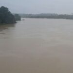 chandrapur flood situation