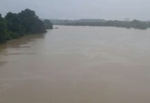 chandrapur flood situation