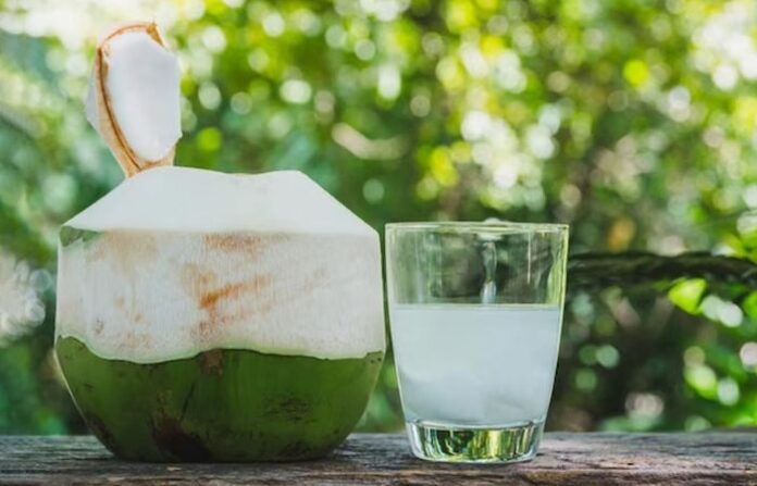 coconut water