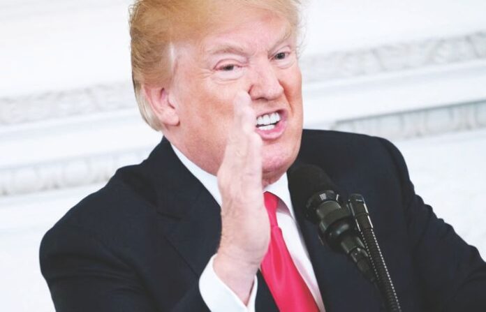 donald trump (2)