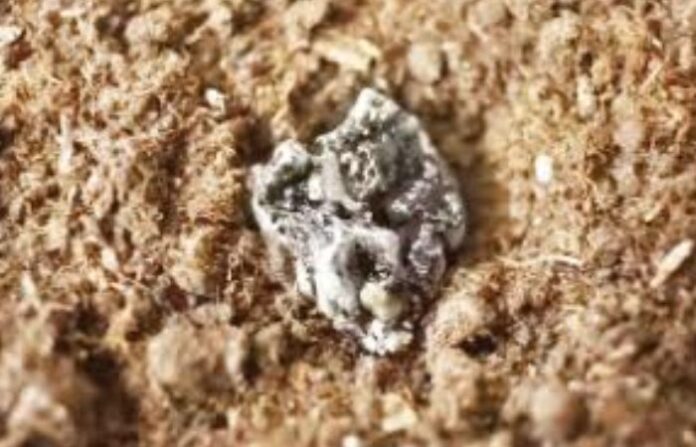 earth metals
