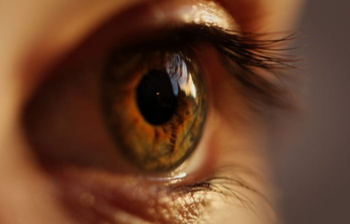 eye donation