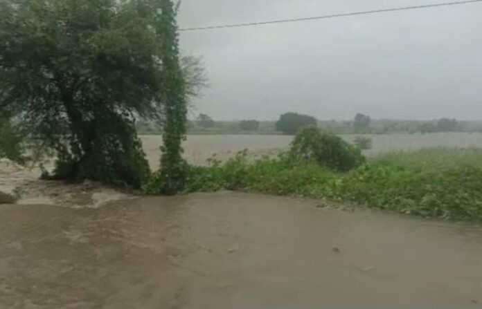 farm nanded