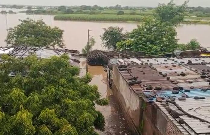 latur rain update