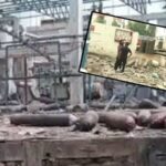 Punjab news – मोहालीमध्ये ऑक्सिजन प्लांटमध्ये सिलिंडरचा स्फोट; दोन जणांचा मृत्यू, 3 जखमी