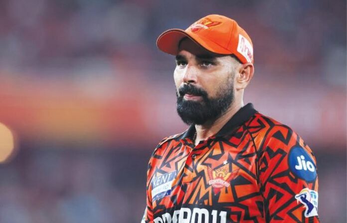 mohammed shami