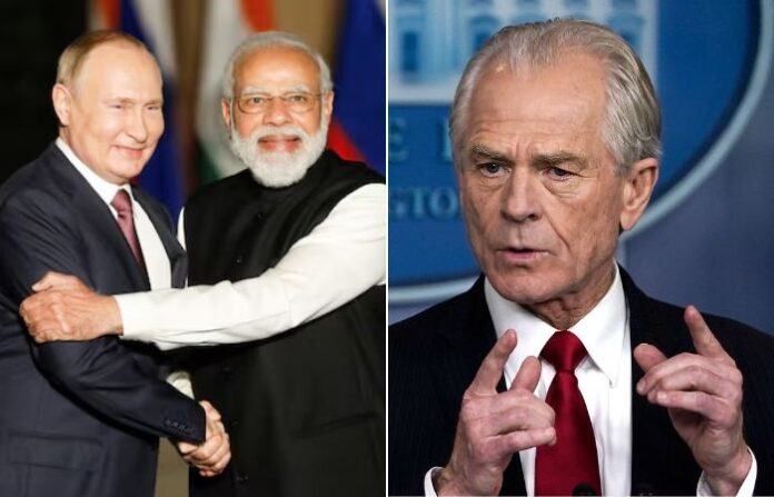 peter Navarro