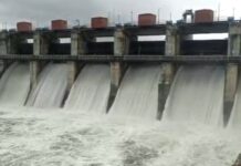 rain-update-manjara-dam-increases-water-release-opens-6-gates-by-0-25-metre