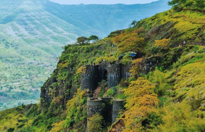sinhgad