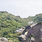 सीएनडी वेस्ट प्रकल्पाचा मार्ग मोकळा, वसईतील राडारोड्याचा प्रश्न मार्गी; जीवन प्राधिकरणाची मंजुरी