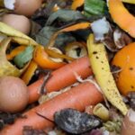 टाकाऊ नव्हे ‘हा’ तर सौंदर्याचा खजिना; स्वयंपाकघरातील टाकाऊ वस्तूंचा असा करा वापर…