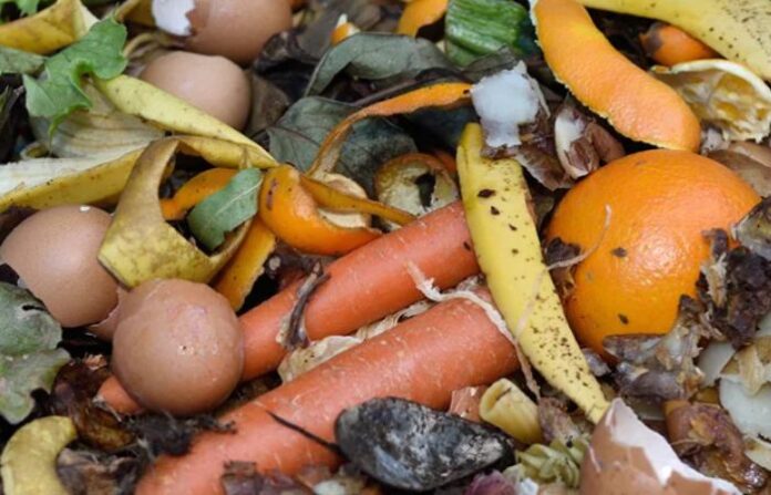 Kitchen Waste