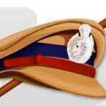 जयगडचे सहाय्यक निरीक्षक कुलदीप पाटील यांची बदली