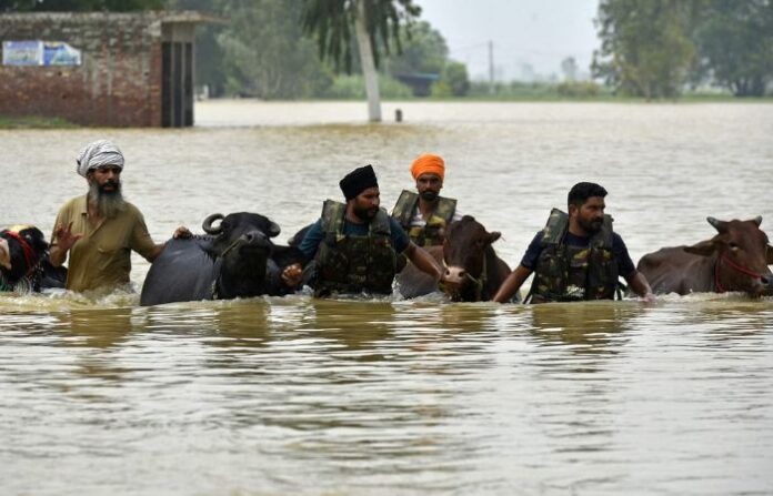Punjab Flood