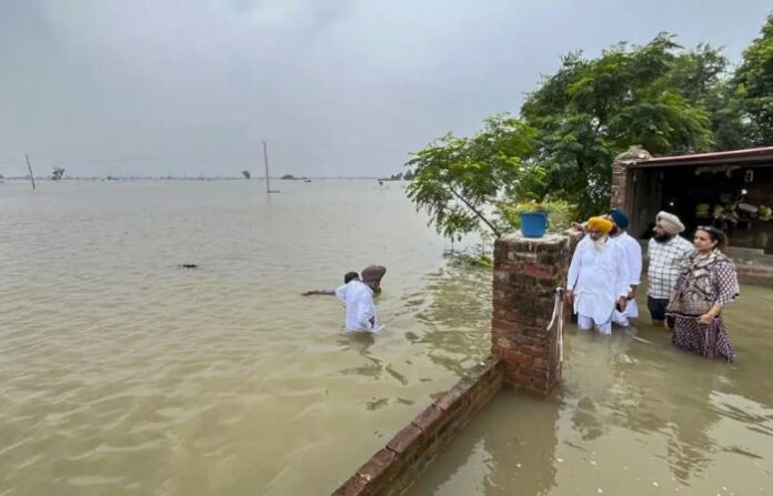 Punjab Rain