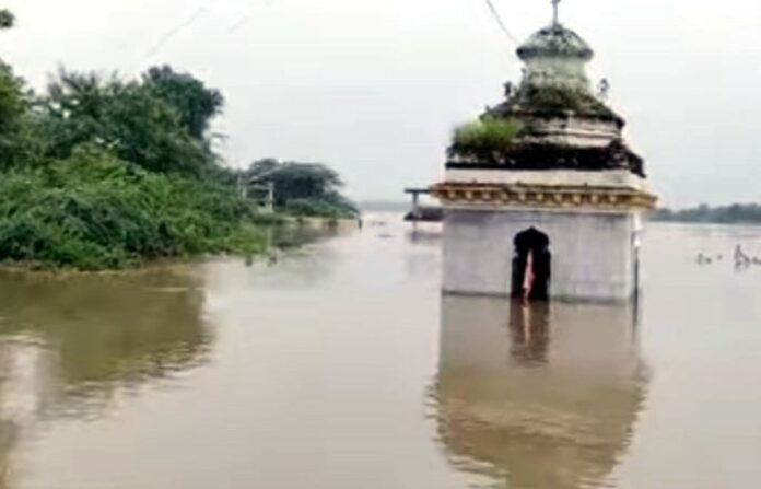 beed rain