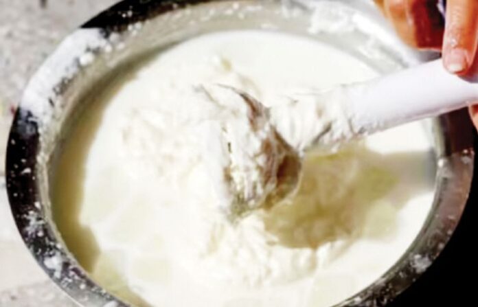 dahi