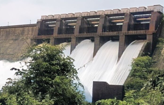dhamni dam