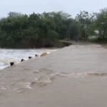 धाराशिव जिल्ह्यात पुन्हा मुसळधार पावसाला सुरुवात; सर्व शाळांना सुट्टी जाहीर, प्रशासन अलर्ट