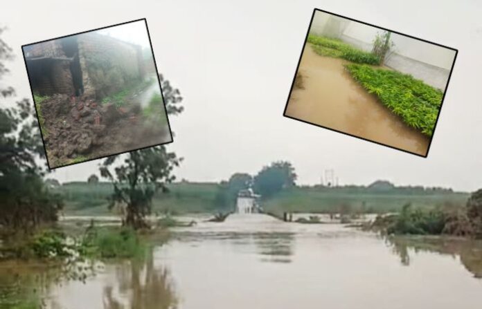 hingoli rain