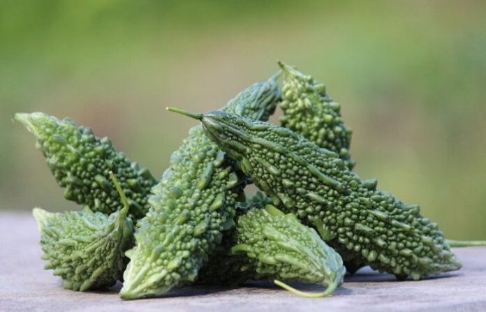 karela (1)