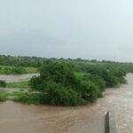 लातूर जिल्ह्यात 24 तासात 75.3 मिलिमीटर सरासरी पाऊस, सर्वाधिक पाऊस अहमदपूर तालुक्यात