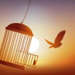 शिरसा धार्यमाणेपि सोम सोमेन शंभुना । तथापि कृशतां धत्ते कष्टं खलु पराश्रय