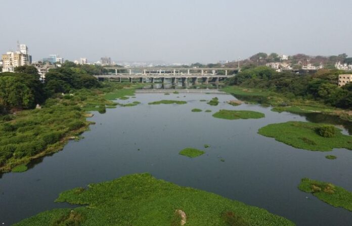 mula mutha river