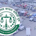 पुणे बाजार समितीचा घोटाळेबाज कारभार, वाहन प्रवेश ठेक्यात उत्पन्न ९२ लाख खर्च १०५ कोटी; APMC ला ११ लाख ७६ हजारांचा तोटा