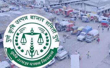 बाजार समितीकडून विधी मंडळाला कोलदांडा, भ्रष्ट्राचारी कारभारामुळे सभापती- सचिव गोत्यात