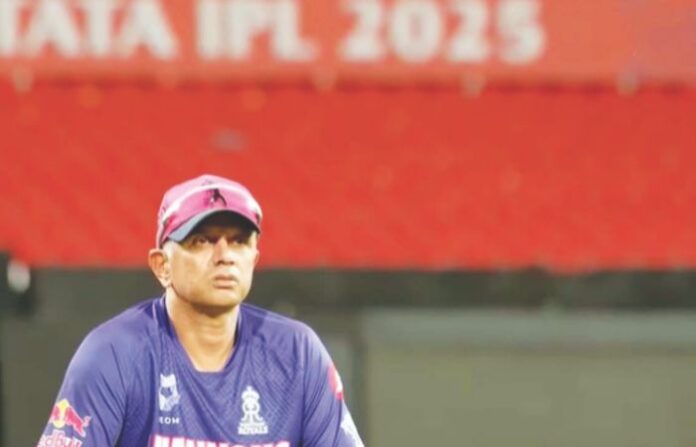 rahul dravid