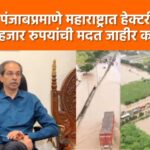 Video – पंजाबप्रमाणे महाराष्ट्रात मदत करा – उद्धव ठाकरे