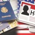 अमेरिकेत 11 वर्षे राहिल्याचा पश्चाताप, लाखो रुपये खर्चून न्यूयॉर्कला परतलेल्या इंजिनीयरची व्यथा