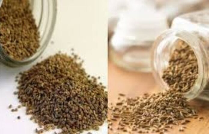 Cumin Seeds