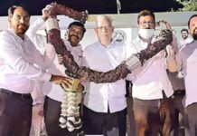 पालघरमध्ये भगव्याचाच आवाज घुमणार; कार्यकर्ता मेळाव्यात शिवसैनिकांचा निर्धार