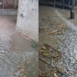 Parbhani Rain – परभणीत पुन्हा जोरदार पावसाचा हाहाकार; जिल्हा व सत्र न्यायालयात पाणीच पाणी, जनजीवन विस्कळीत