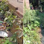 मच्छीमार्केट परिसरात घाणीचे साम्राज्य, मनुष्यबळ कमी असल्याचे नगरपरिषदेकडून कारण