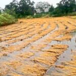 सामना अग्रलेख – सरकार पक्षाचे इमले… शेतकऱ्यांचे दिवाळे!