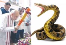 सामना अग्रलेख – अॅनाकोंडा आला रे…!