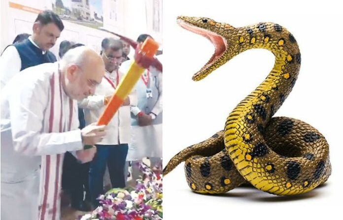 Untitled design - 2025-10-28T235056.948