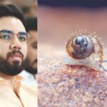 तिलारीच्या जंगलात नव्या प्रजातीची केसाळ गोगलगाय, ठाकरे वाईल्डलाईफ फाऊंडेशनच्या संशोधनाची आंतरराष्ट्रीय पातळीवर दखल