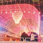 मनसेचा दीपोत्सव; छत्रपती शिवाजी महाराज पार्क लक्ष दिव्यांनी उजळणार! उद्धव ठाकरे यांच्या हस्ते शुभारंभ